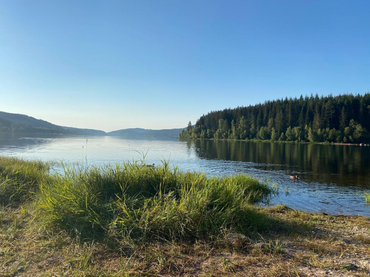 Sporthostel Roessle Schluchsee Buitenkant foto