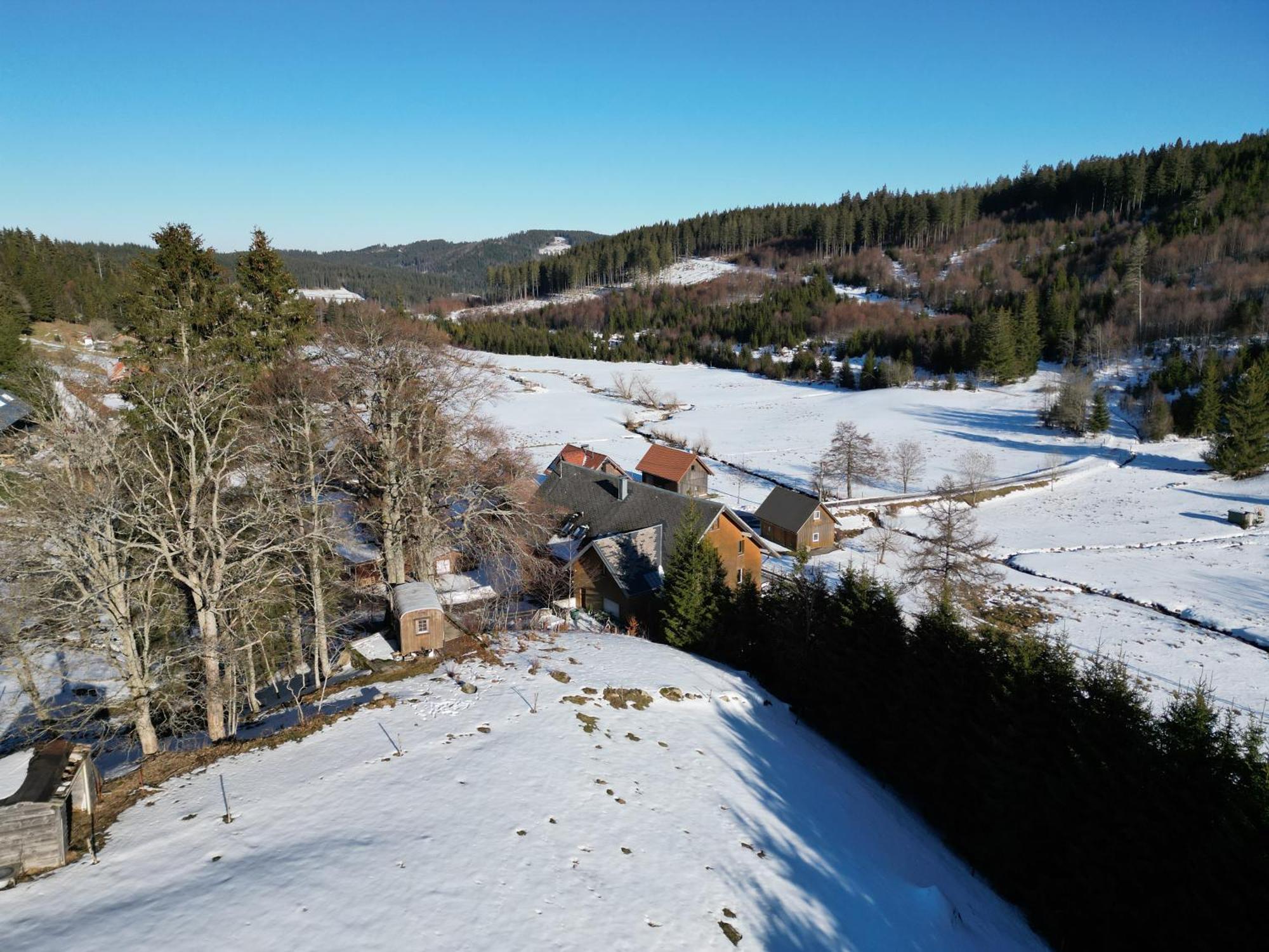 Sporthostel Roessle Schluchsee Buitenkant foto